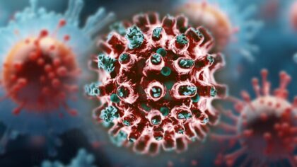 Corona, Hantavirus & Co.: Thailand-Sicherheit im Check