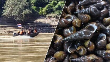 Gift-Alarm: Keine Muscheln essen