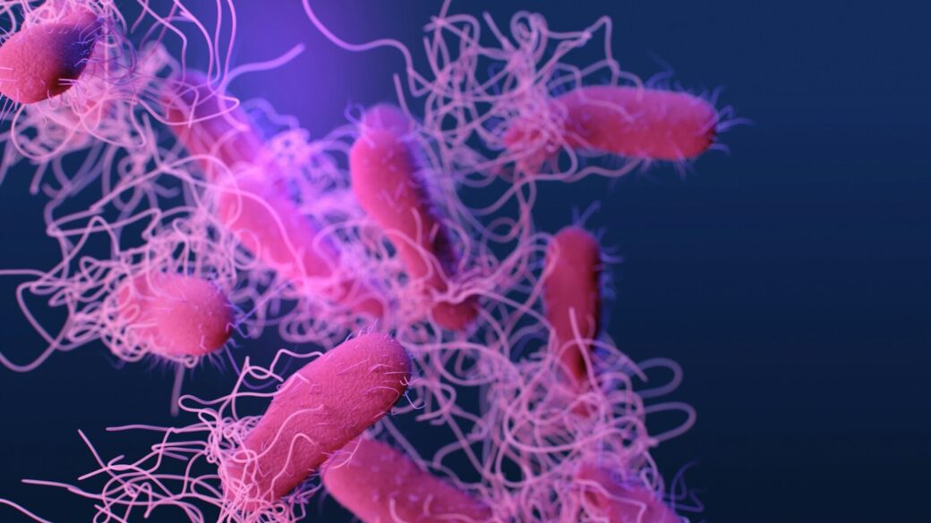 Salmonella-Schock in Thailand: Verseuchtes Trinkwasser entdeckt