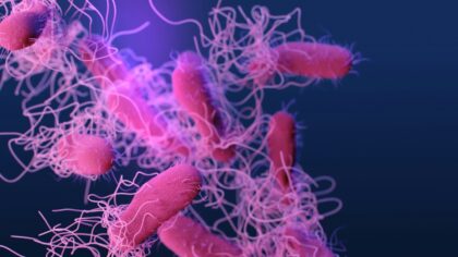 Salmonella-Schock in Thailand: Verseuchtes Trinkwasser entdeckt
