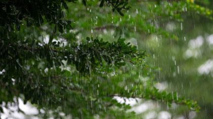 Thailand-Wetter Mai: Unwetter-Alarm und Regenzeit-Start